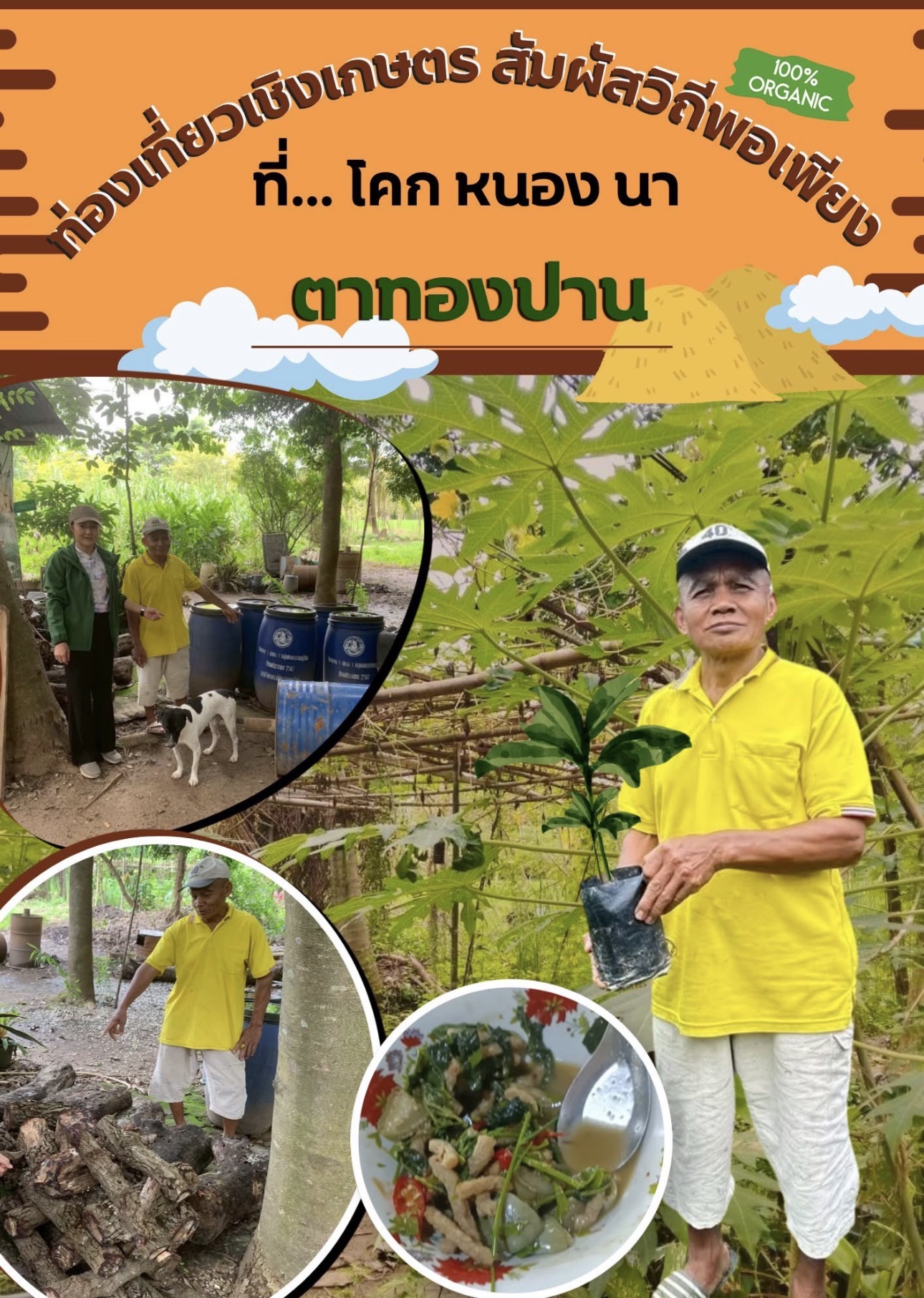 อำเภอบางระกำ ปักหมุดแลนด์มาร์คใหม่! เที่ยวเชิงเกษตร “โคก หนอง นา โมเดล” บ้านนายทองปาน เผ่าโสภา ชวนชิมผักสวนครัวรั้วกินได้ สัมผัสวิถีความยั่งยืนแห่งบางระกำ